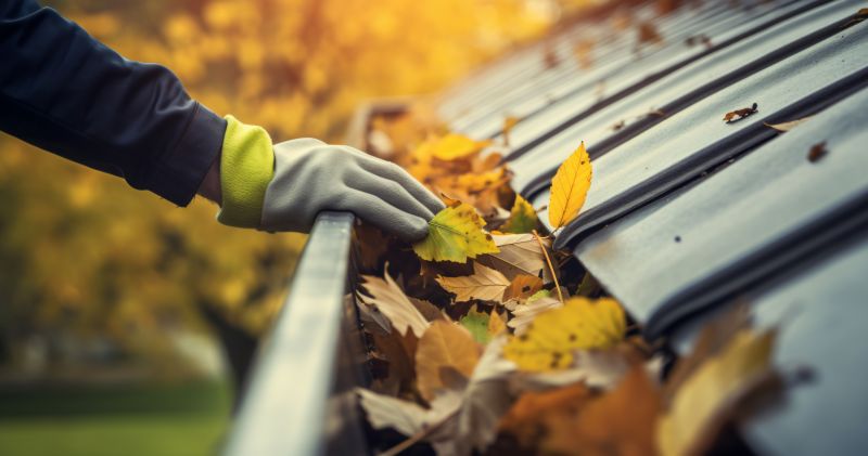 Fall Gutter Inspection