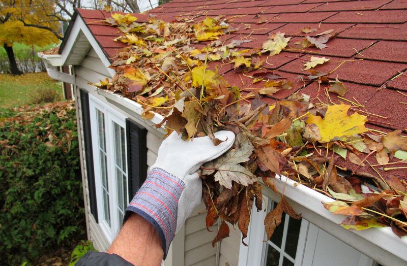 Clean Gutter System