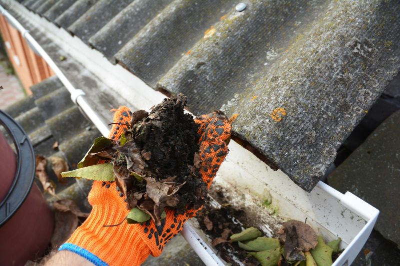 Gutter Cleaning Services